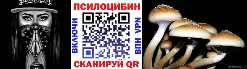 Купить закладки  Чапаевск  Псилоцибиновые грибы мухоморы 